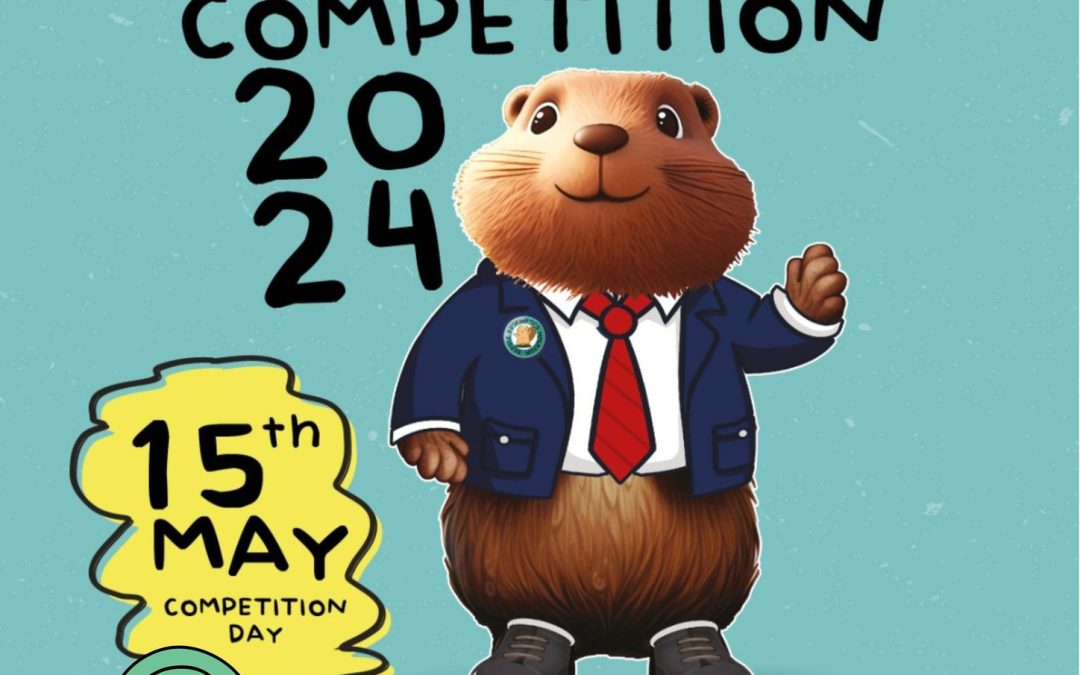 Beaver Computational Thinking Competition 2024